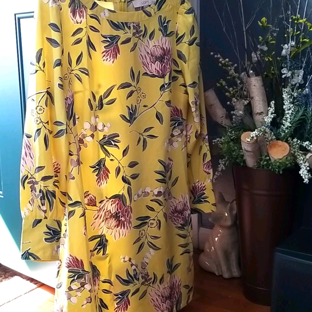 Loft shift dress